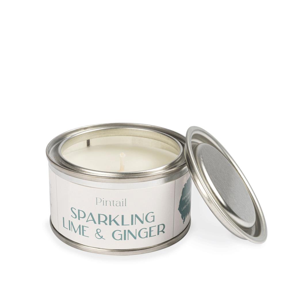 Pintail Candles Sparkling Lime & Ginger Paint Pot Candle £5.18